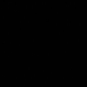 Meet your Posher, Lizbeth